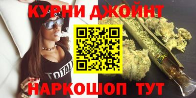 шишки Гай