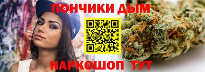 шишки Гай