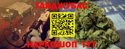 шишки Гай