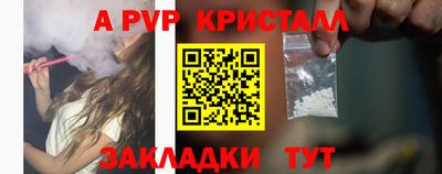 шишки Гай