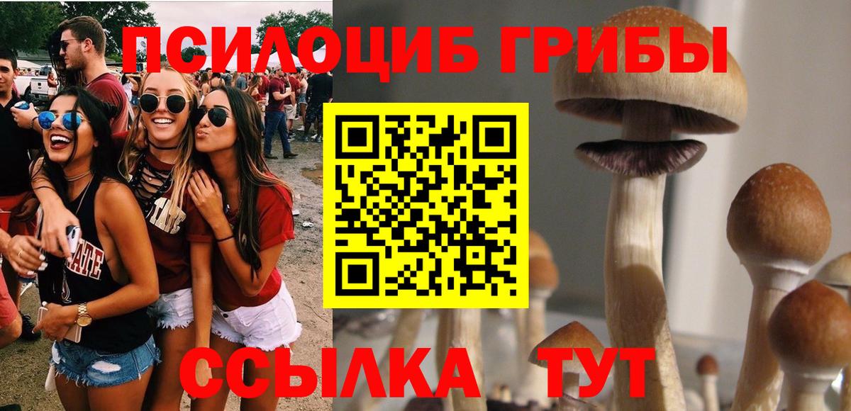 Муром  купить закладку  Псилоцибиновые грибы Cubensis  Вход с VPN  Псилоцибиновые грибы Psilocybe 